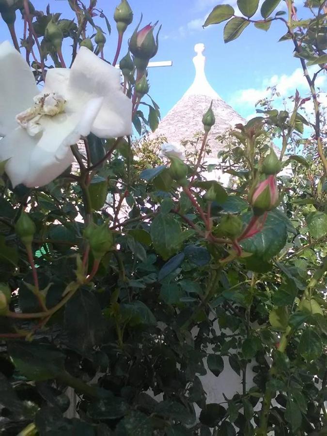 Trulli Di Ivana Ostuni Exterior foto
